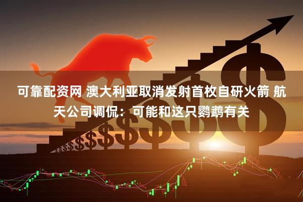 可靠配资网 澳大利亚取消发射首枚自研火箭 航天公司调侃：可能和这只鹦鹉有关