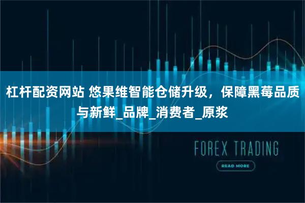 杠杆配资网站 悠果维智能仓储升级，保障黑莓品质与新鲜_品牌_消费者_原浆